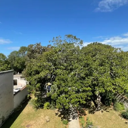 Charming 80m Near The Old Port! *