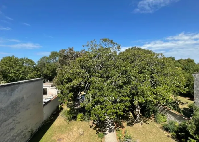 Charming 80m Near The Old Port! *